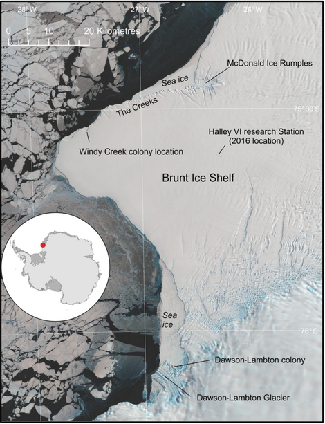 Map of the Brunt Ice Shelf, showing the location of Halley Bay and Dawson-Lambton emperor penguin colonies.